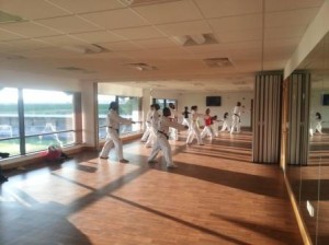 TKD at The Hive